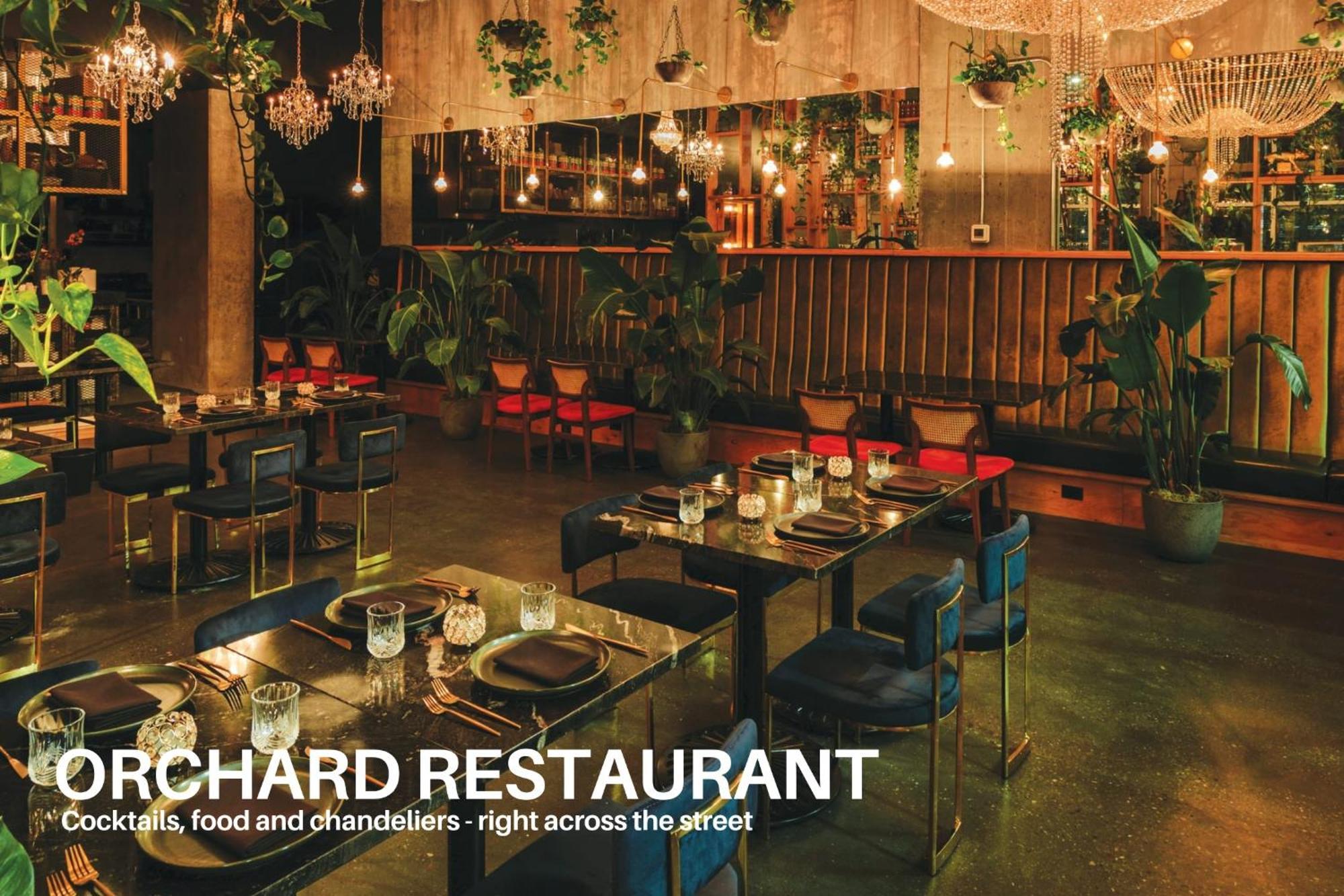 Luxury Downtown Sunset Getaway: Urban Oasis With Kitchen & Gym