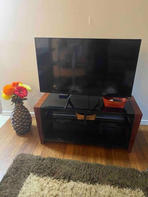 Beautiful Two Bedroom Apartment. Apartment *