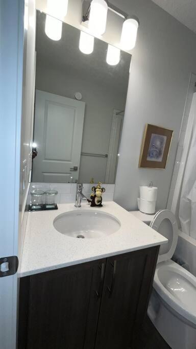 Brand New 4-bed House Apartment