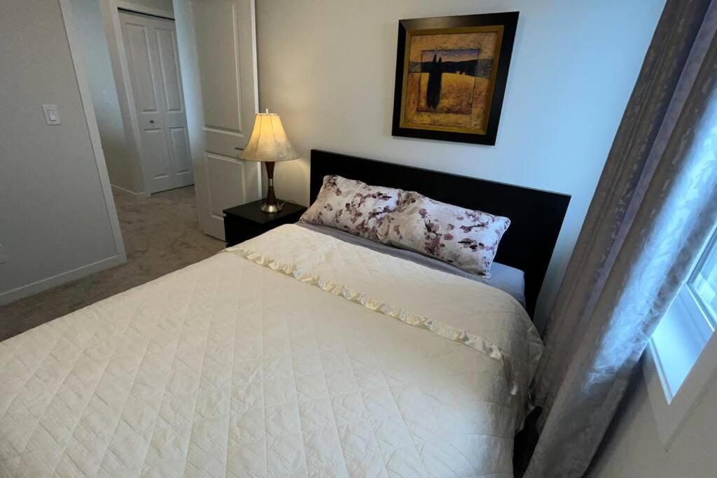 Brand New 4-bed House