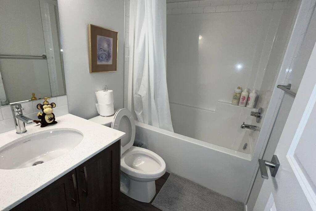 Brand New 4-bed House